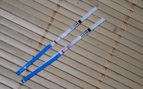 home pregnancy test