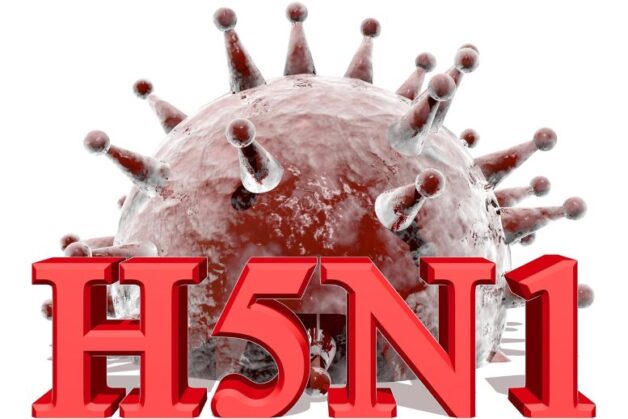 Transmission Routes of Influenza A virus subtype H5N1