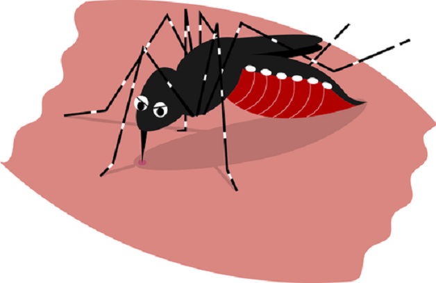 Distinguishing Dengue Fever and Viral Fever