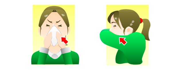 Proactive Prevention of Seasonal Influenza