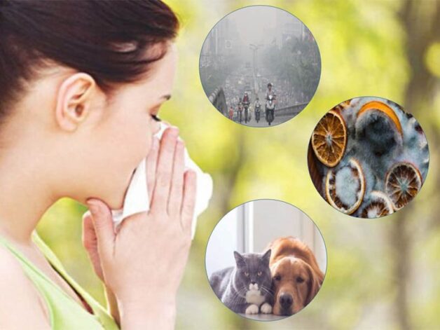 Causes and Signs of Allergic Rhinitis