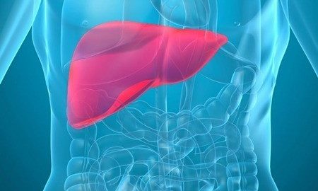 Điều trị bệnh gan to có thể chữa khỏi hoàn toàn không