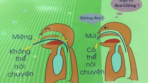 Nội soi dạ dày không đau hiệu quả thế nào?
