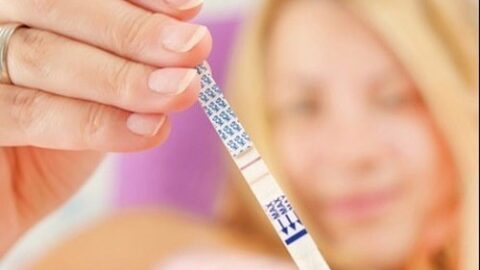 Pregnancy Test Instructions