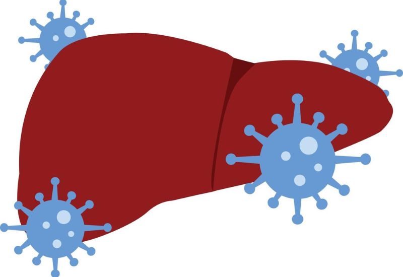 What Are the Complications of Hepatitis B?