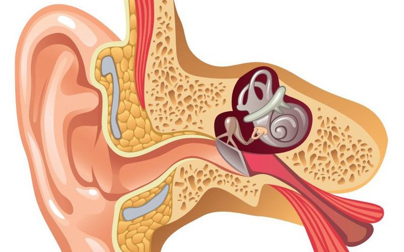 Causes of Tinnitus