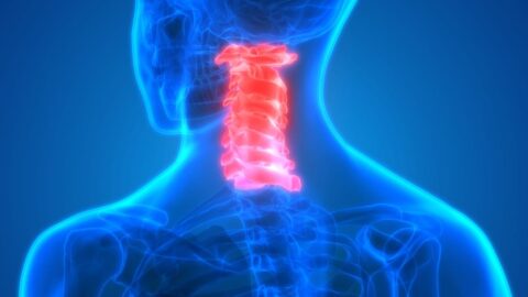 Understanding the Cervical Spine and Related Conditions