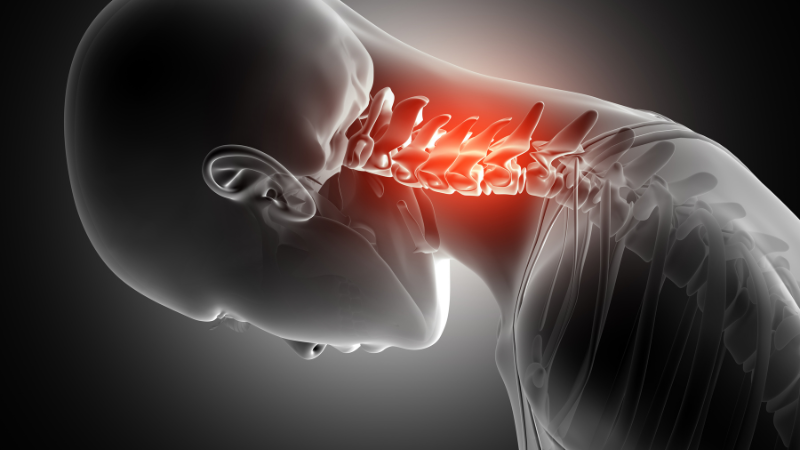 What is the Cervical Spine?