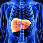 Understanding the Stages of Fatty Liver Disease and How to Identify Them