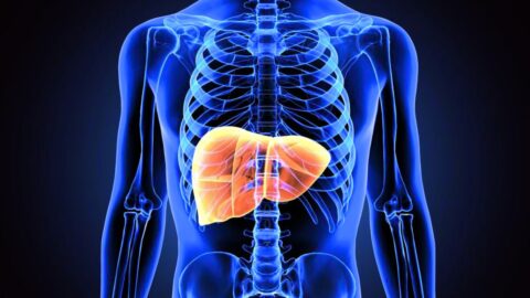 Understanding the Stages of Fatty Liver Disease and How to Identify Them