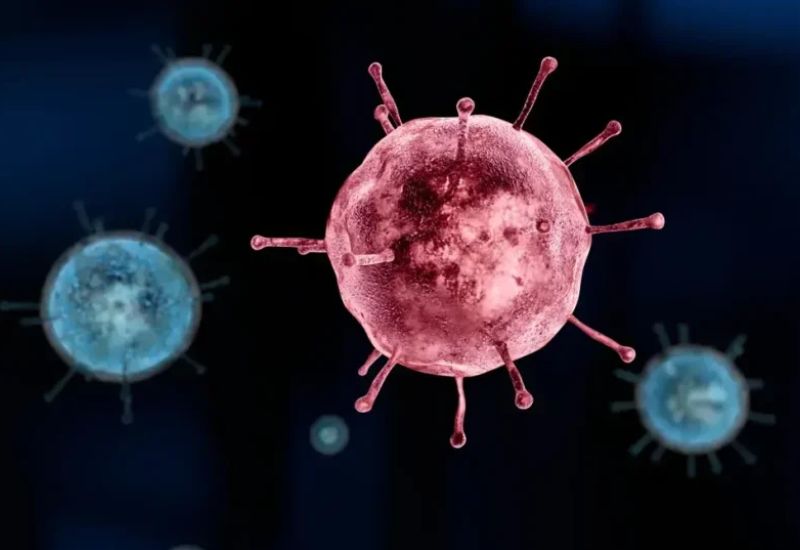 How Does the Seasonal Flu Virus Work?