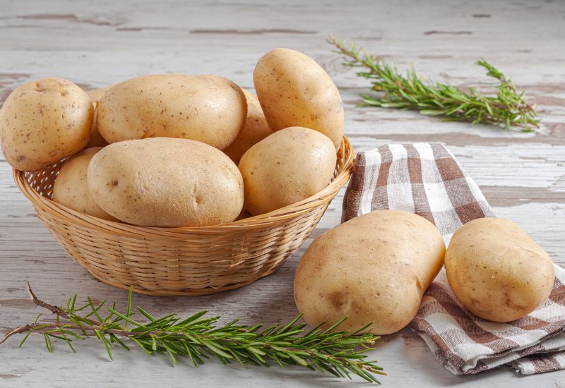 Food Sources Rich in Vitamin B6