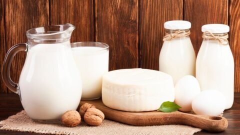 5 Calcium-Rich Food Groups You Should Add to Your Diet