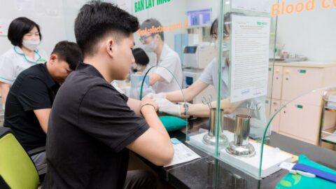 Key Health Insights from Blood Tests