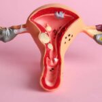 Essential Services to Expect at a Gynecology Clinic