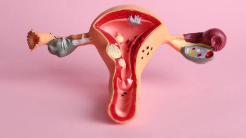 Essential Services to Expect at a Gynecology Clinic